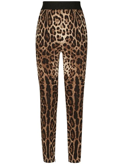 dolce gabbana leopard leggings|farfetch dolce and gabbana.